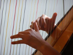 Le mani di un'arpista durante l'esecuzione di un brano