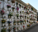 Il cimitero di Sant'Antonio