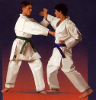 6 e 7 marzo, al Palazzetto dello sport il Campionato Italiano a Squadre di karate