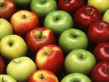 Fino al 25 ottobre nelle mense scolastiche “Le mele della salute” dell’Associazione tumori Toscana