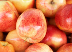 A ottobre nelle mense scolastiche “Le mele della salute” dell’Associazione tumori Toscana