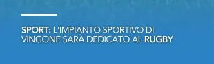 grafica rugby
