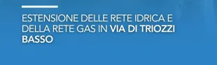 triozzi