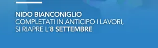 bianconiglio 