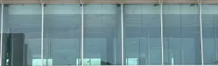 bandiera palestina