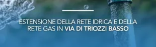 triozzi basso