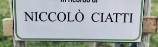 niccolò ciatti