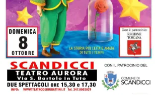 locandina piccolo principe