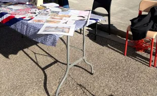 francofonia spinelli