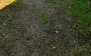 ripulitura ex cnr retro colonica