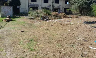 ripulitura ex cnr colonica