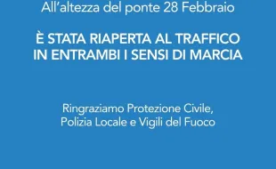 Grafica poccianti