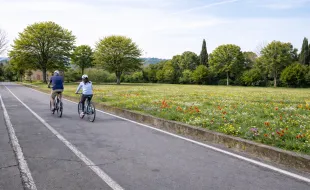 parco urbano