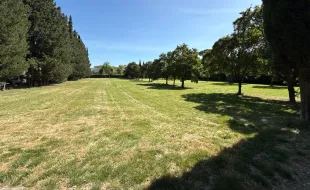 sfalci