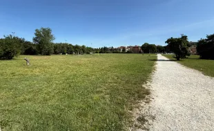 sfalci