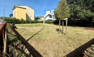 sfalci