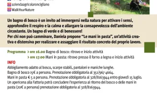 roncigliano