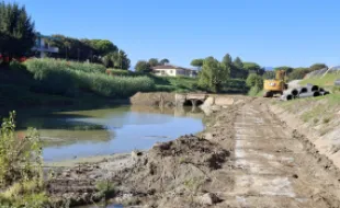 briglia