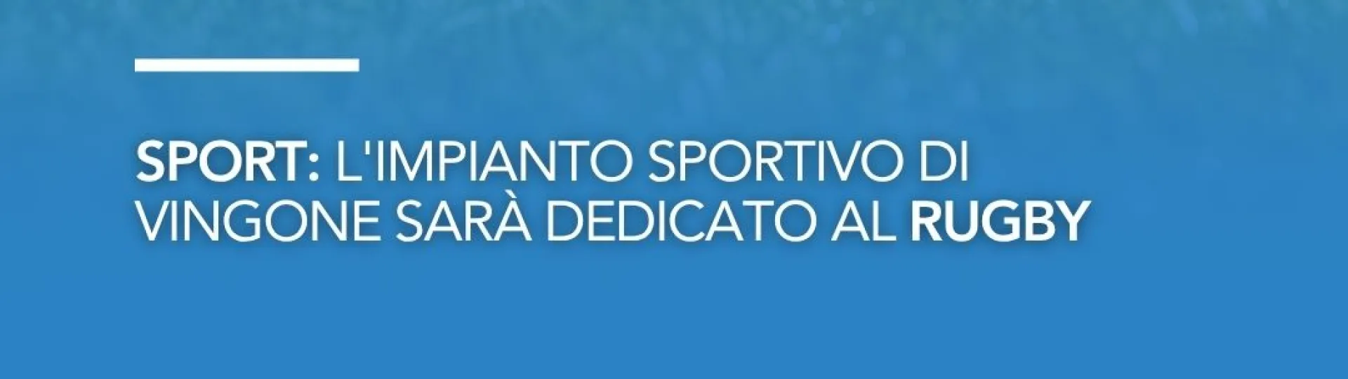 grafica rugby