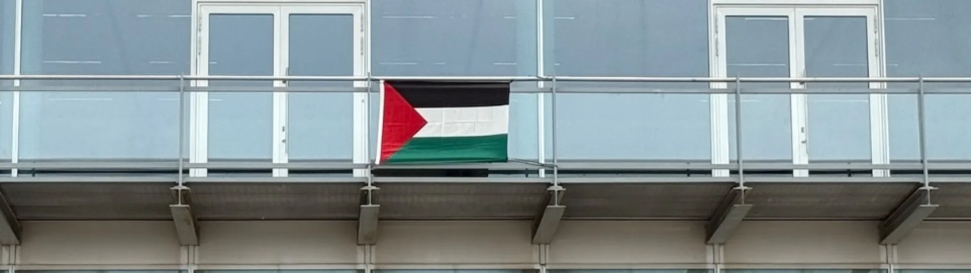 bandiera palestina