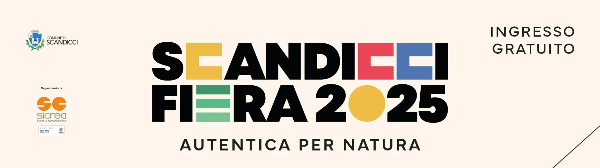manifesto alto