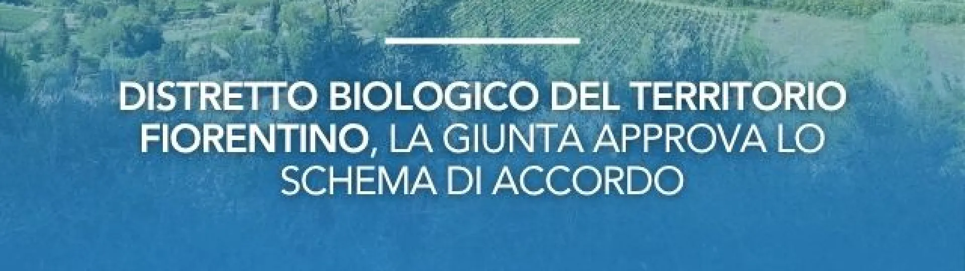 grafica distretto