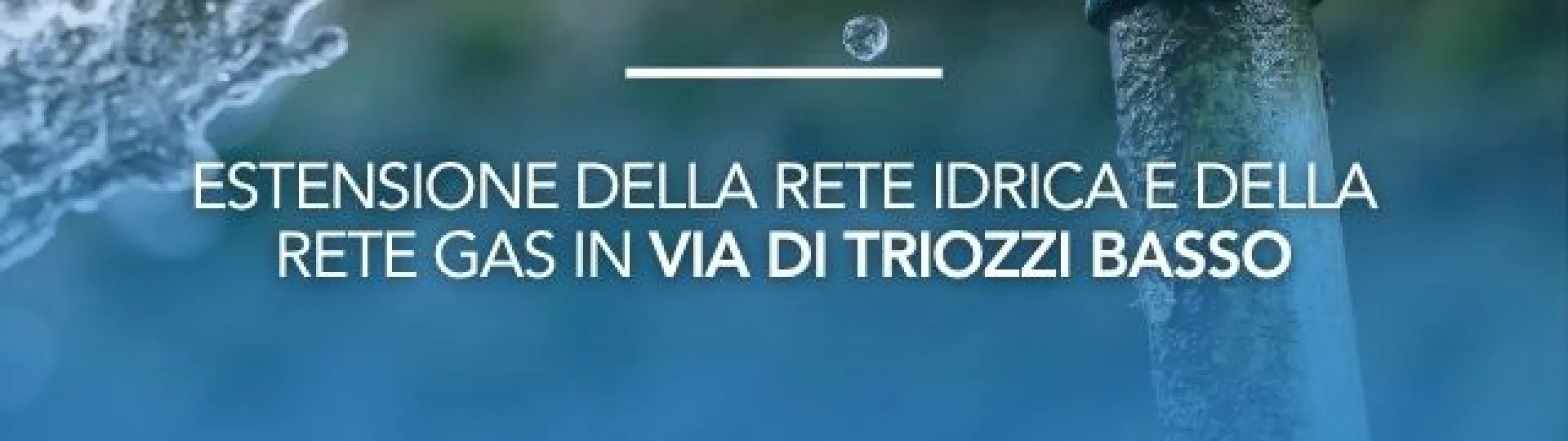 triozzi basso