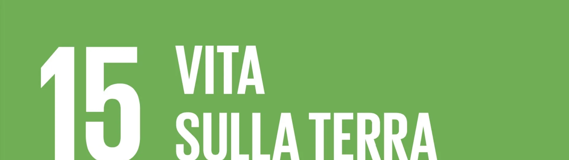 Obiettivo 15 Agenda 2030