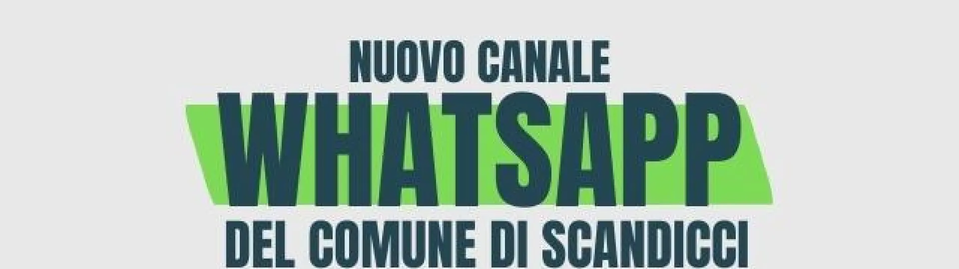 grafica canale wapp