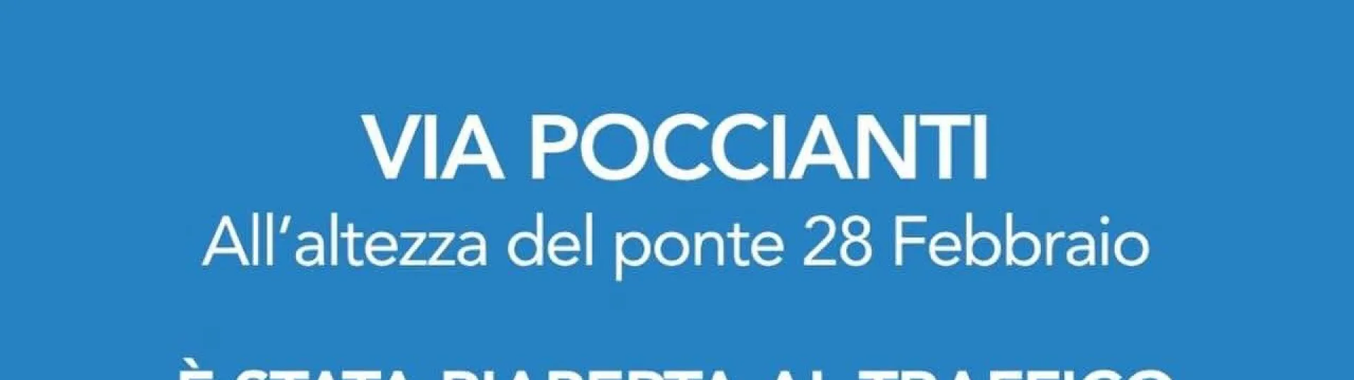 Grafica poccianti