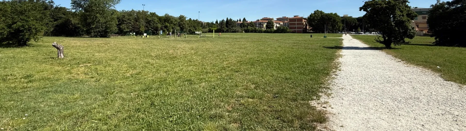 sfalci