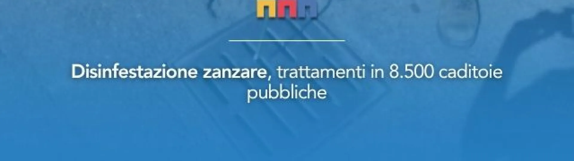 zanzare