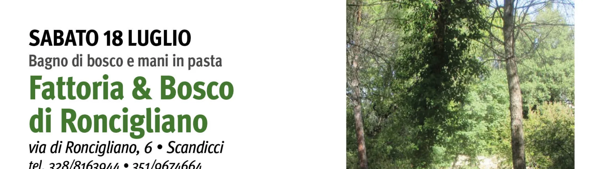 roncigliano