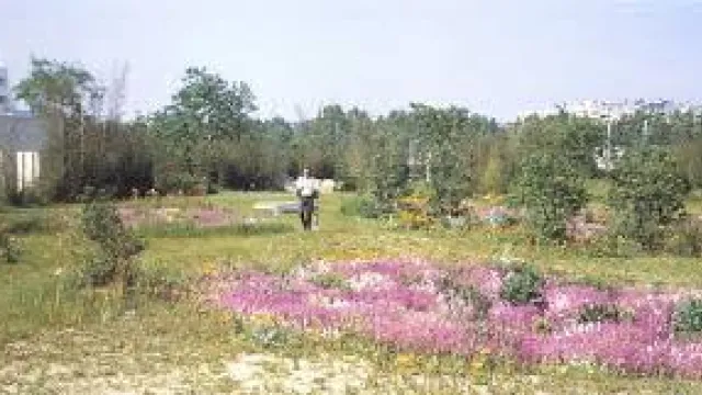 Villa Doney