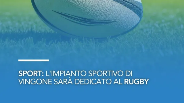 grafica rugby