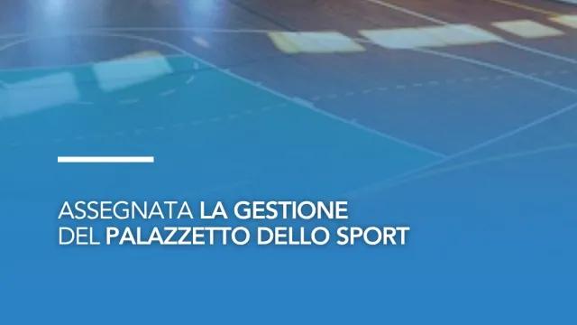 palazzetto dello sport
