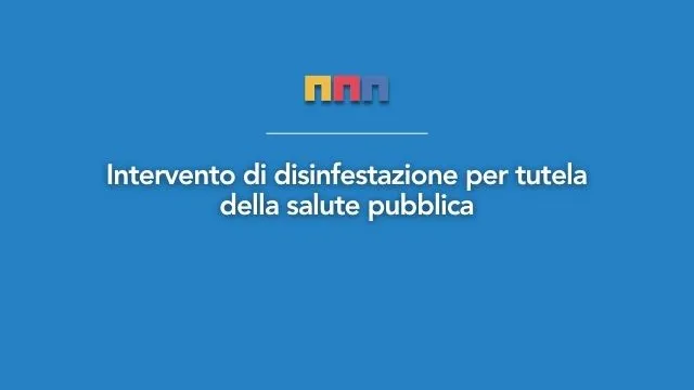 disinfestazione