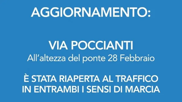Grafica poccianti