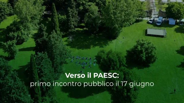 grafica paesc sito