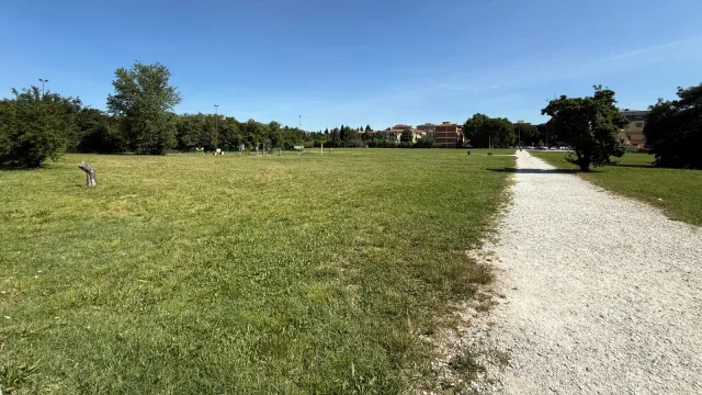 sfalci