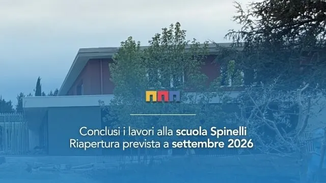 grafica Spinelli