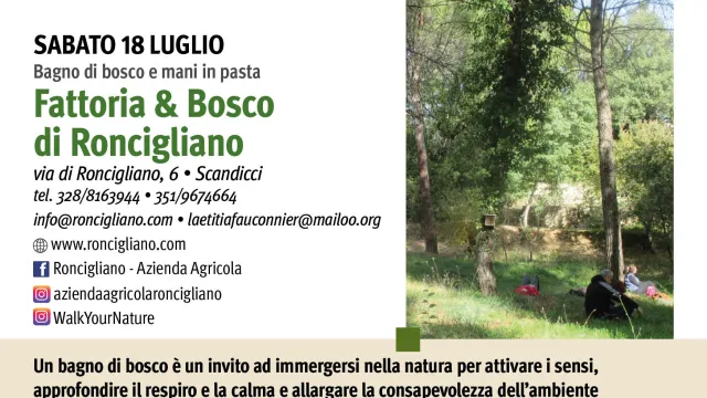 roncigliano