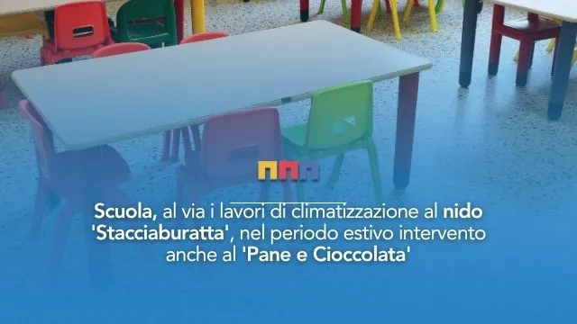 nidi