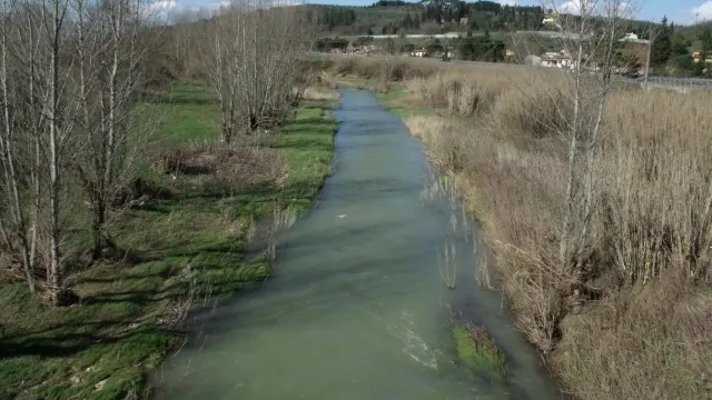 pesa