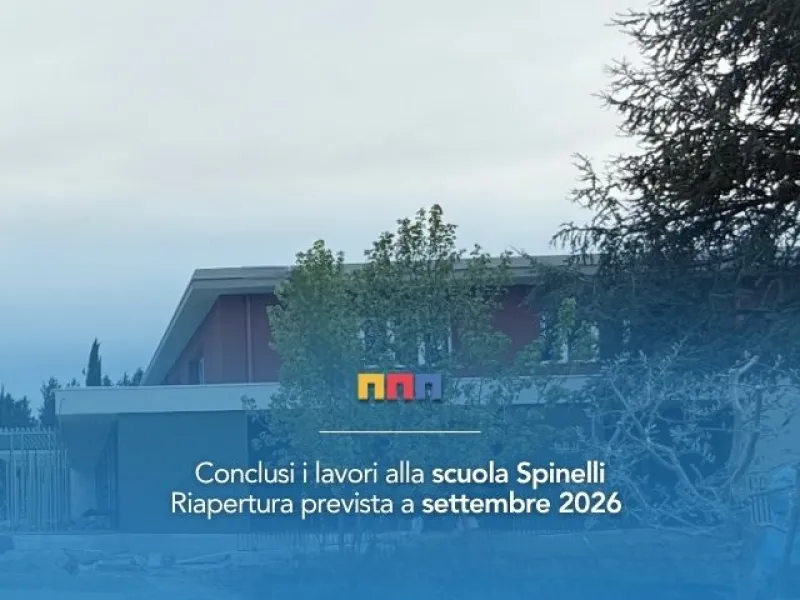 grafica Spinelli